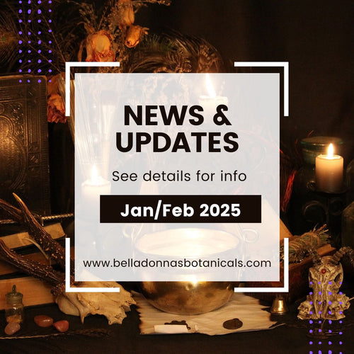 News and Updates - January & February 2025