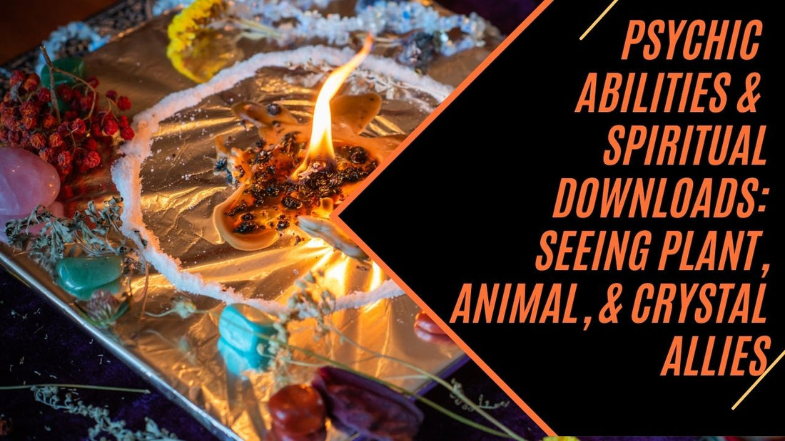 Psychic Abilities & Spiritual Downloads: Seeing Plant, Animal, & Crystal Allies